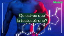 Santé/c'est quoi la testostérone