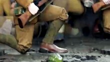 The Dog Who Saved Seven Soldiers