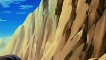 vegetto3