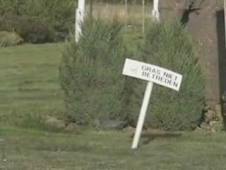 Where the clouds are being made