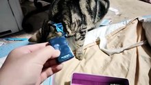 Zippoライターが気になるミア
