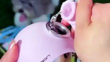 Stylish Portable Dog Water Bottle – Leak-Proof Stainless Steel Travel Bowl