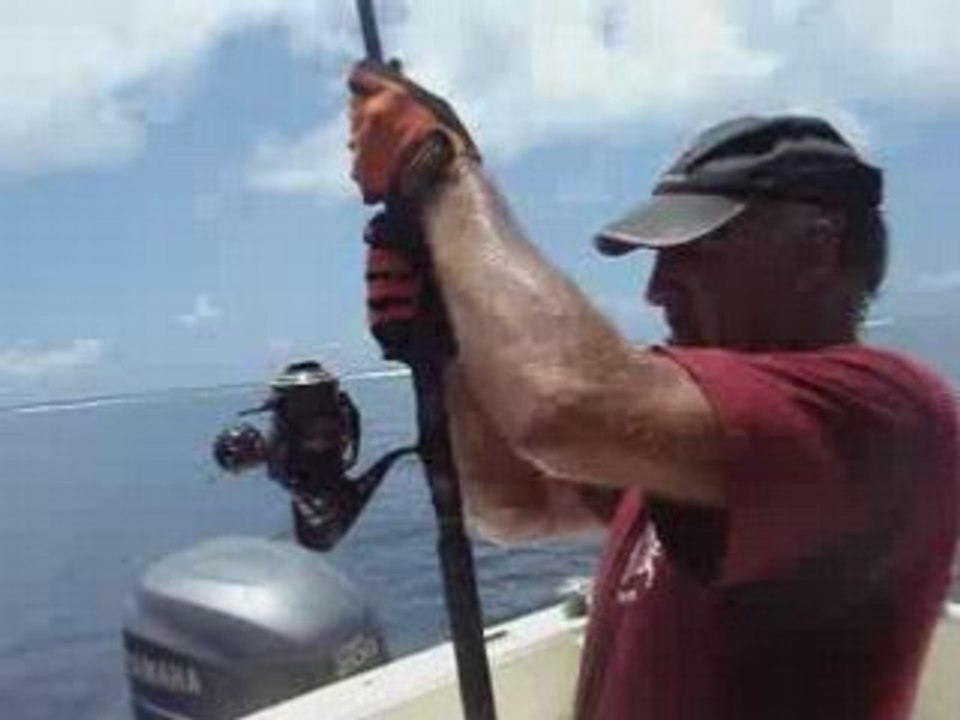 Un pecheur attrape un gros requin