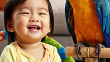 👶🦜 Baby Tilts His Head… And the Parrot Copies Every Move! 😂