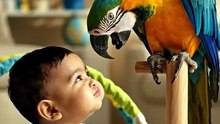 👶🦜 Baby Makes a Funny Face… But the Parrot Goes TOO FAR! 🤪😂