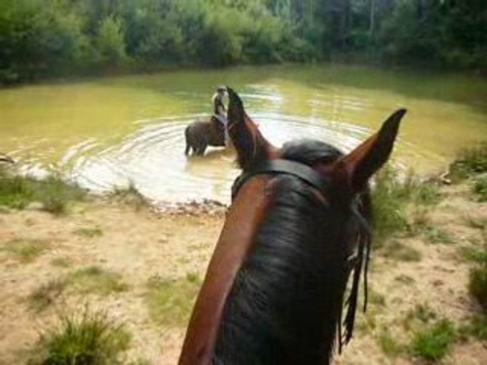 nounou le surveillant