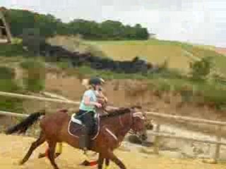 passe au galop horse ball