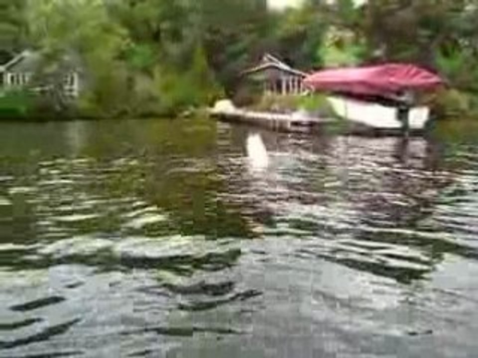 Vega saute à l'eau
