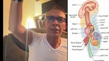 التهابات القناة السمعية وطرق الوقايه منها _طريقه الرضاعة للأطفال - الطيبات ضياء العوضي