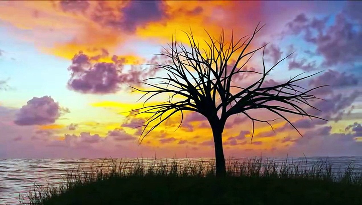 Rainy Day Reflections – Calm Music for Peaceful...