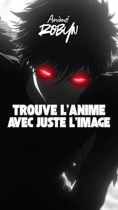 Trouve avec l'image l'animé qui correspond !