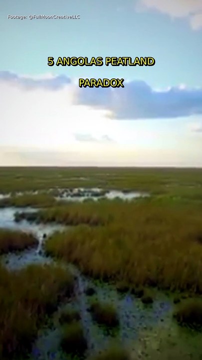 5. Angola's Peatland Paradox! 🌍