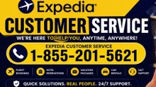 Expedia®™ Talk To Live Agent At American USA Through Contact Numbers A Step-by-Step