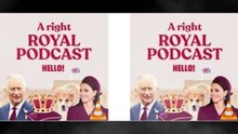 Dive into the captivating journey of Prince Harry's Charm Offensive and discover if the Duke of Sussex has truly reclaimed his public spark!