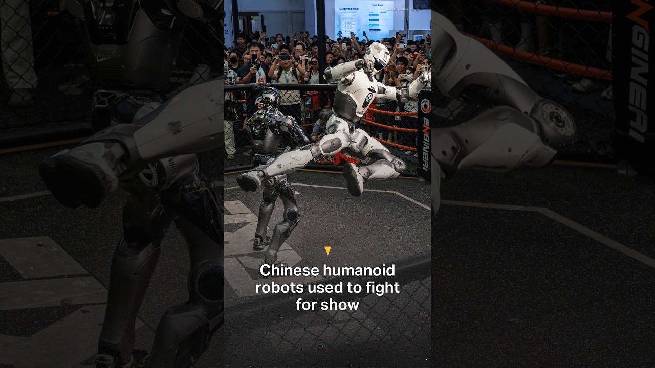 Chinese humanoid robots used to fight for show