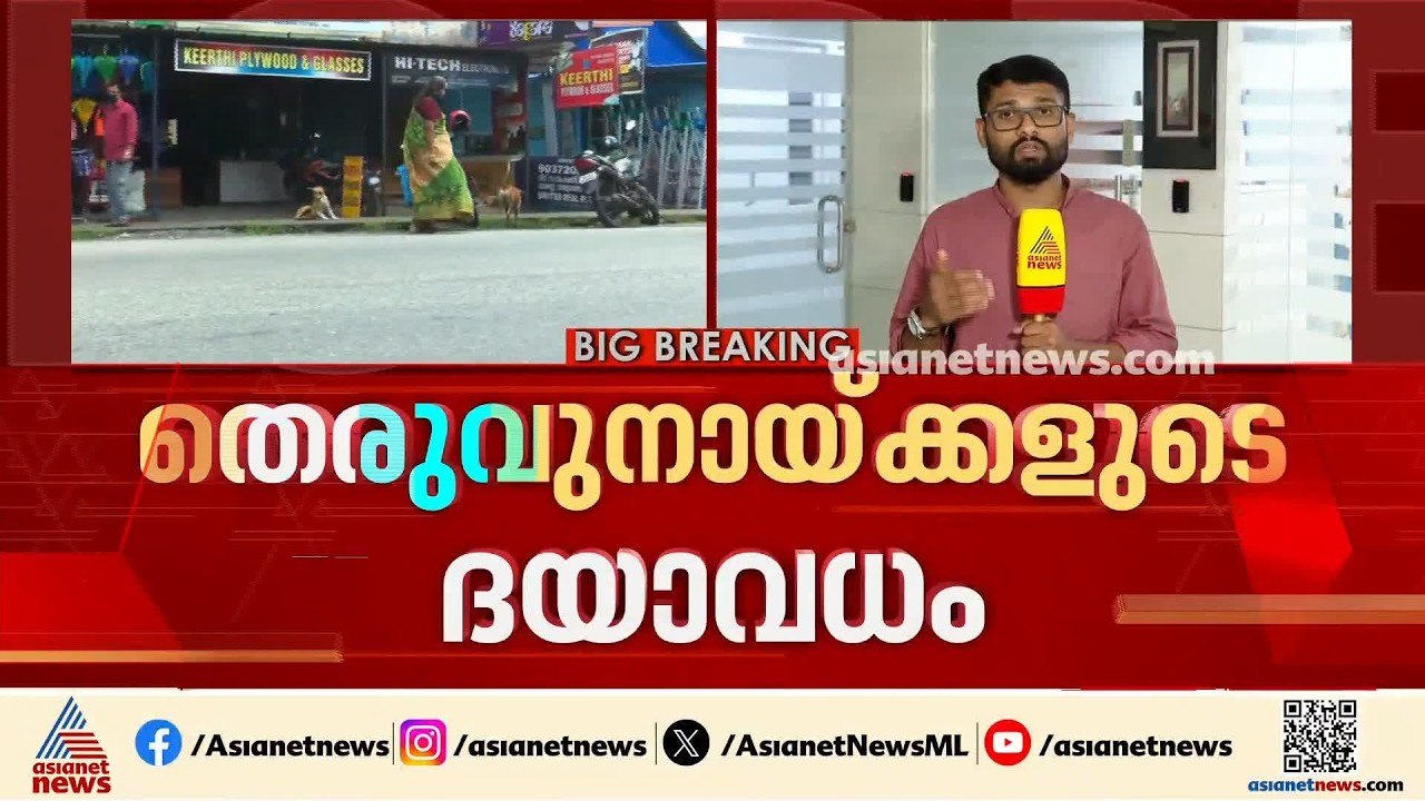 തെരുവ് നായ്ക്കളുടെ ദയാവധം; തദ്ദേശ സ്ഥാപനങ്ങൾ തയ...