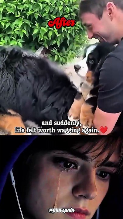 He Was Alone for So Long… Until They Gave Him a Friend 🐶💙