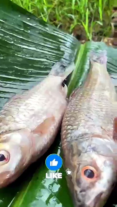 Fish Fry in Banana Leaf 🤤🐟🍃  Fish Rose Shorts