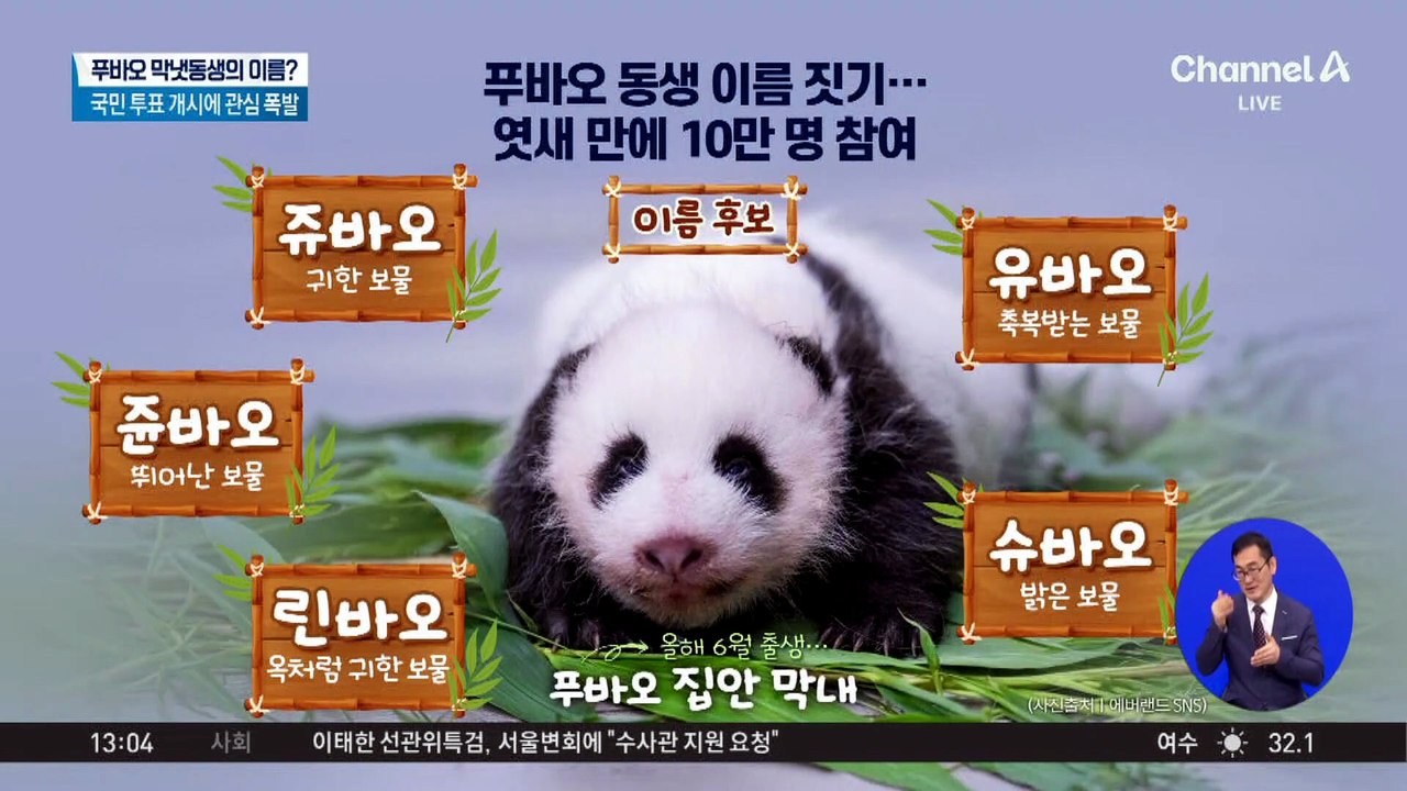 푸바오 동생 이름 짓기…엿새 만에 10만 명 참여