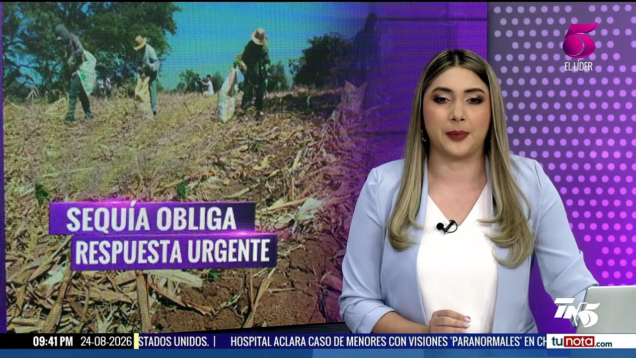 Tn5 Estelar - lunes 24 de agosto 2026