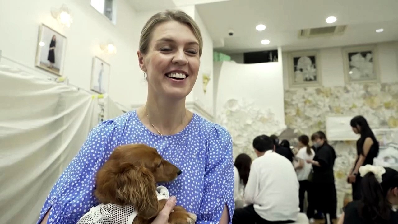 As Japan swelters, pet owners turn to fan-powered cooling suits