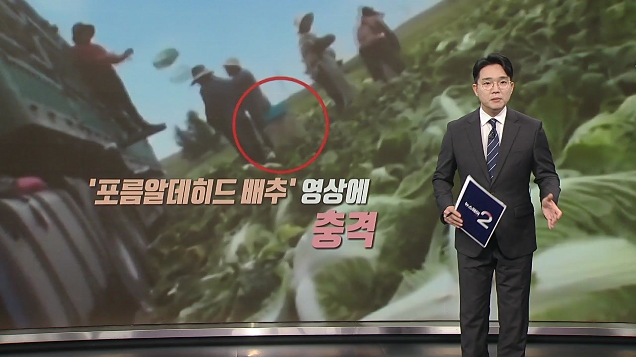 '포름알데히드 배추'·'표백 닭발'... 잇따르는 중국산 식품 논란 [앵커리포트] /...
