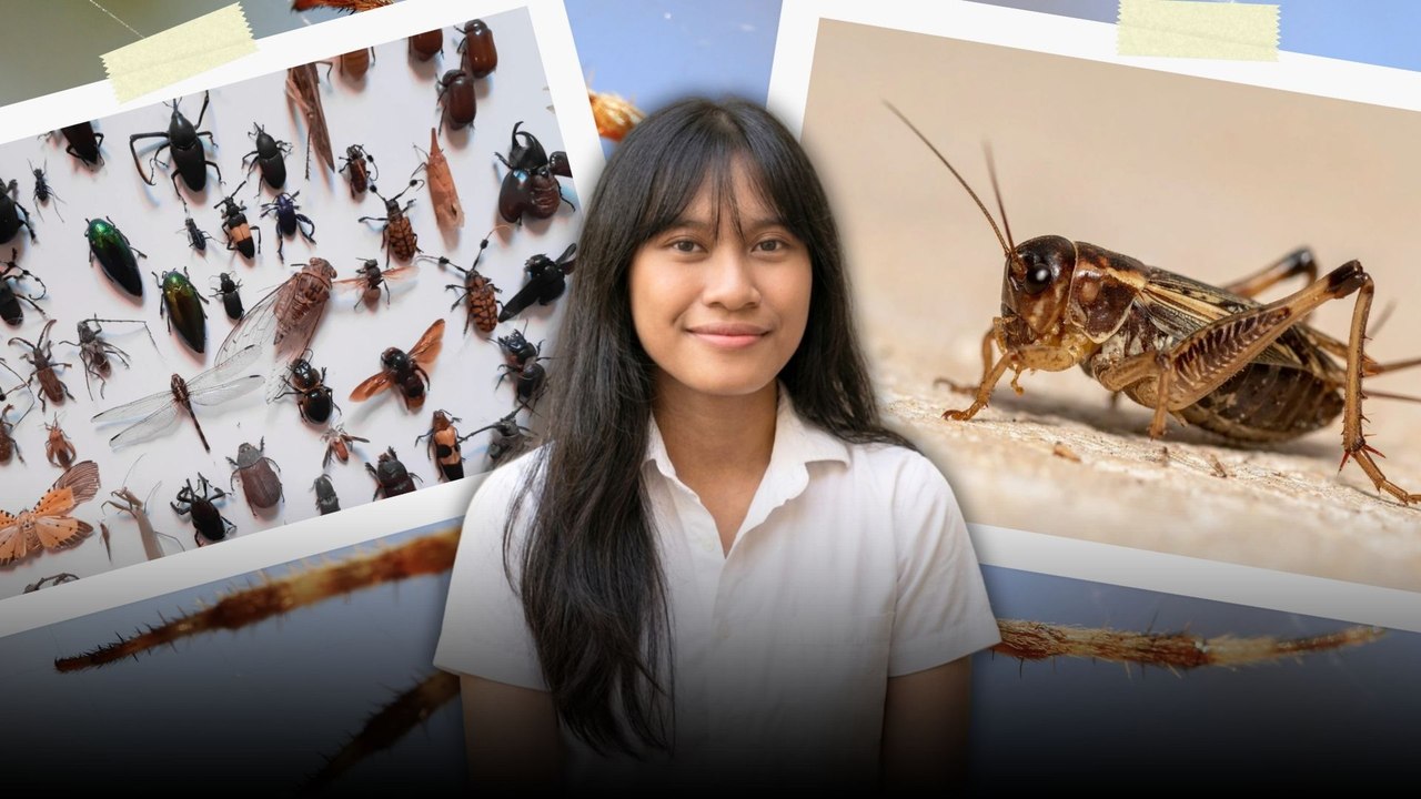 ​Jangan Sepelekan Serangga, Ini yang Terjadi Jika Mereka Hilang dari Bumi-Serius Ini Hewan?