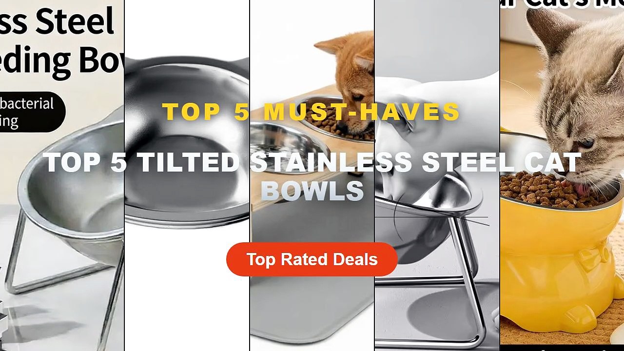 Cheap & Best Top 5 Tilted Stainless Steel Cat B...