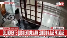 Ladrón fue filmado mientras intentaba ingresar a un edificio a las patadas