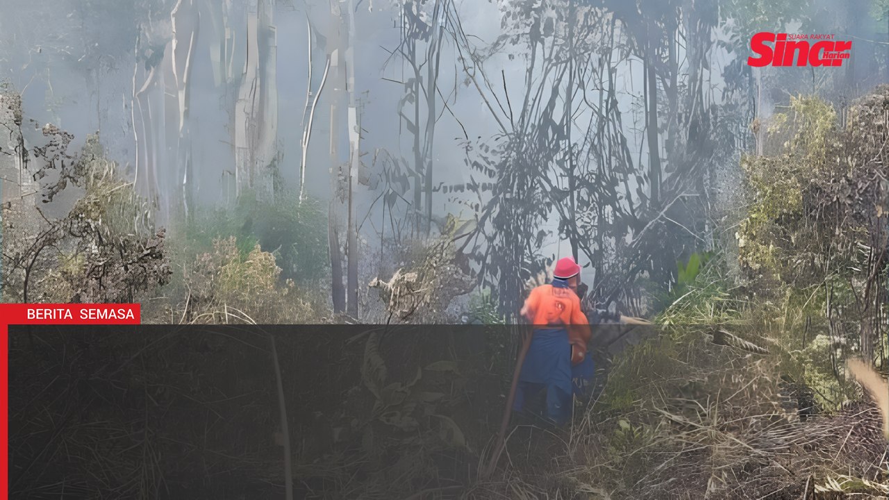 Sumber air terhad, bomba berdepan cabaran padam kebakaran paya gambut