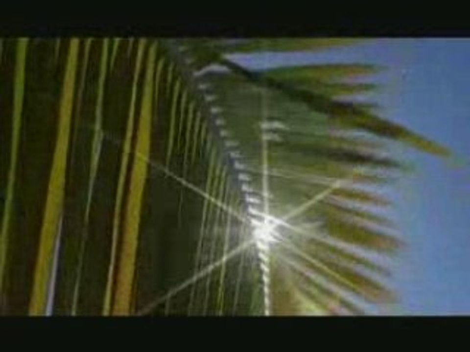 Une île au bout des pinceaux