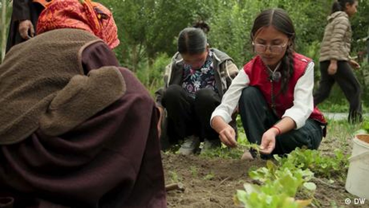 Why Ladakh's ghost villages could have a future again