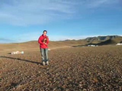 Le Fil Rouge du chevreau de Yolyn Am, Mongolie