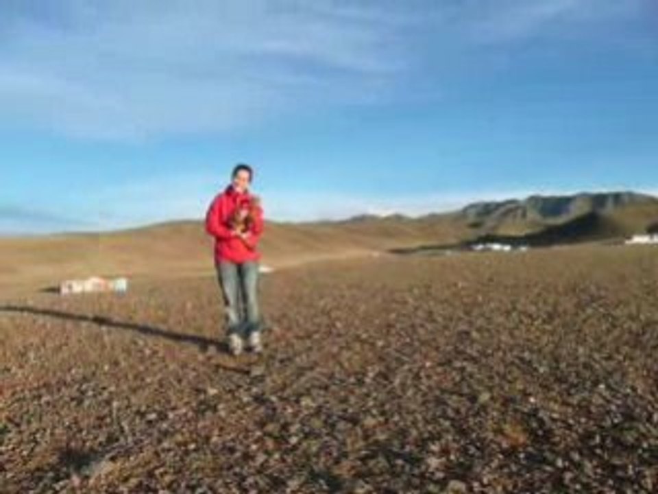 Le Fil Rouge du chevreau de Yolyn Am, Mongolie