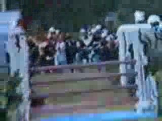 Belo lamotte 1999 suite