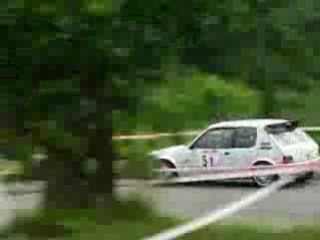 rallye paul friedman 2008