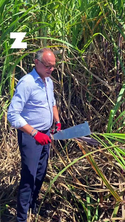 Édouard Philippe s'essaie à la coupe canne