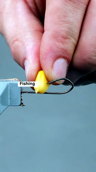 This one's for all of you fishing enthusiasts