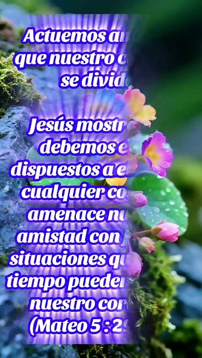 Reflexiones Bíblicas