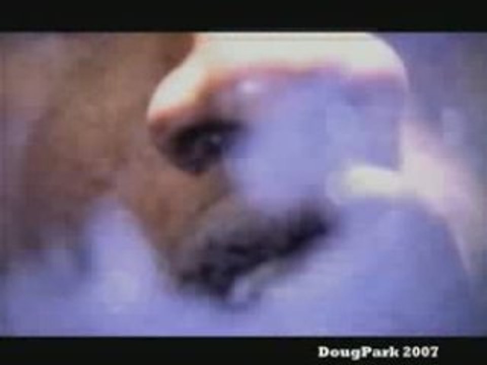 Shaq ft Rza Method man - no hook