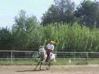 SPECTACLE CHEVAL CORNILLON 13               5384