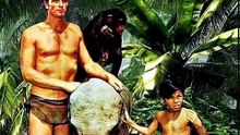 O fim do ator Ron Ely Depois de interpretar Tarzan nos anos 60 ele teve fim.