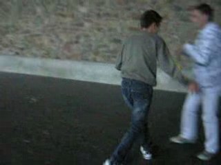 Le lac des cygnes (revisités par yann42 et yo20)