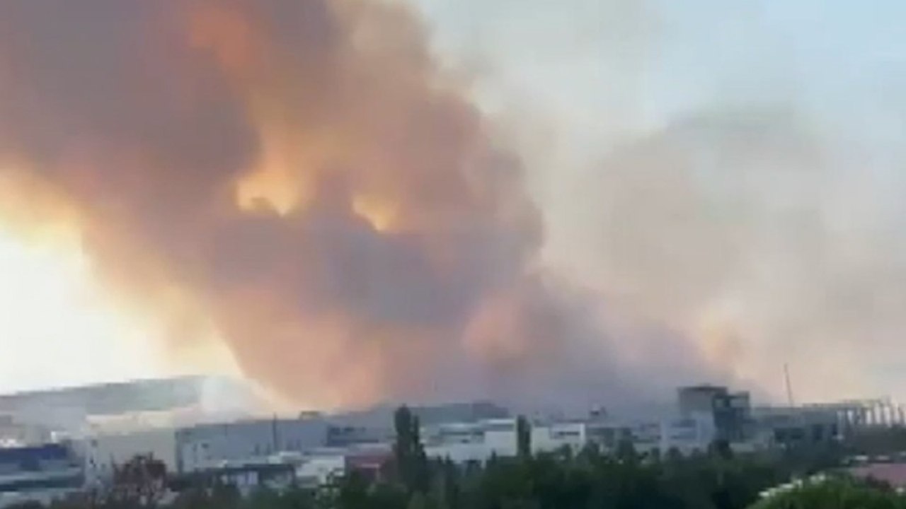 Bursa'da orman yangını