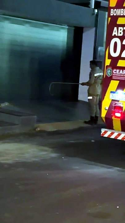 Jacaré é resgatado em calçada de casa em Crateús