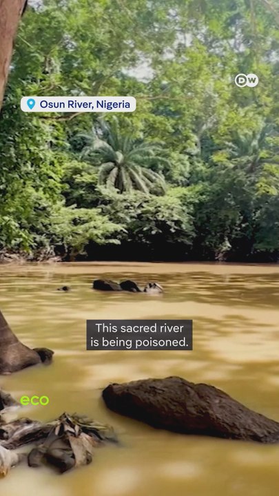Nigeria's toxic gold river