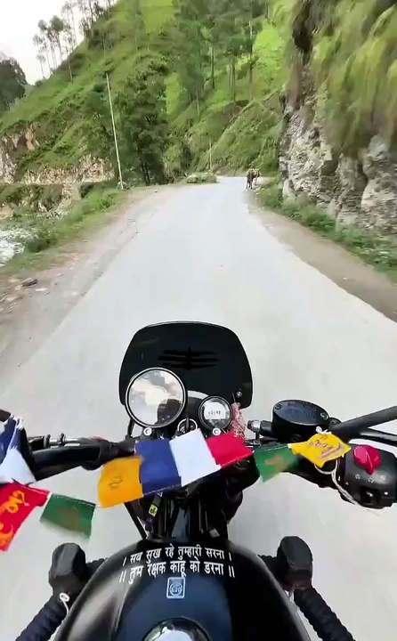 Ce motard évite de peu un coup de sabot de cheval