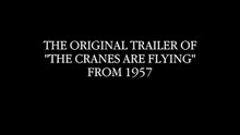 Cuando pasan las cigüeñas (1957) - Trailer (1957)