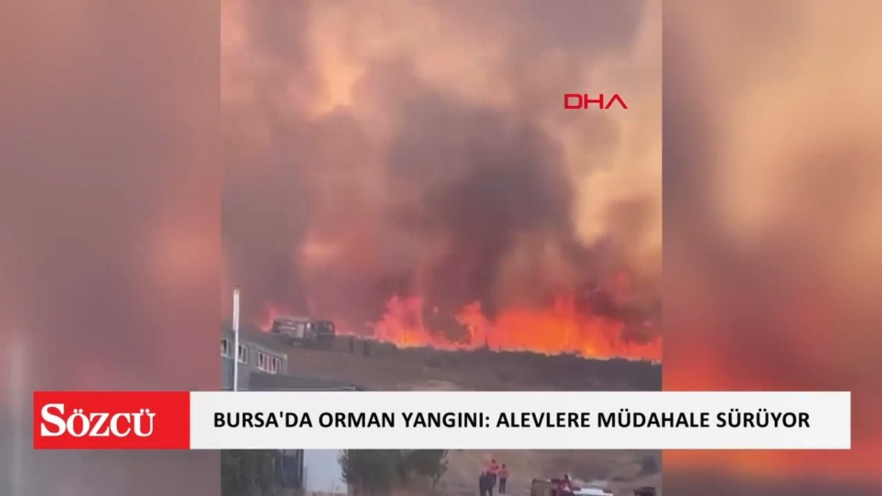 Bursa'da orman yangın: Alevlerle mücadele sürüyor