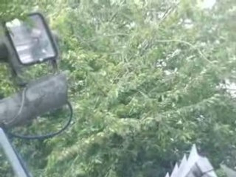 Tokio Hotel 21.06.08 - Répétitions Ich Bin Da